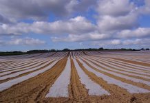 NI Agri-food businesses to be told something they already know….Brexit is coming next month