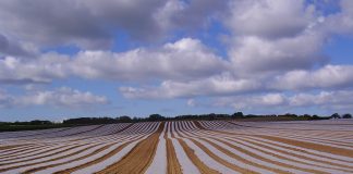 NI Agri-food businesses to be told something they already know….Brexit is coming next month