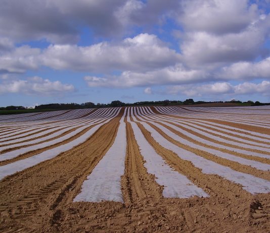 NI Agri-food businesses to be told something they already know….Brexit is coming next month