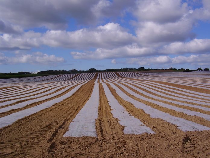 NI Agri-food businesses to be told something they already know….Brexit is coming next month