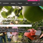 Tourism NI launches ‘BrowseAloud’ on its websites