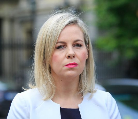 Fianna Fáil Senator refers to Knackers and Travellers in old tweets.