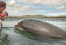 Nuala Moore and her training buddy, Fungie. Nuala is an extreme swimmer - Image Credit Nuala Moore