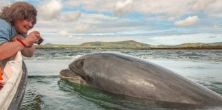 Nuala Moore and her training buddy, Fungie. Nuala is an extreme swimmer - Image Credit Nuala Moore