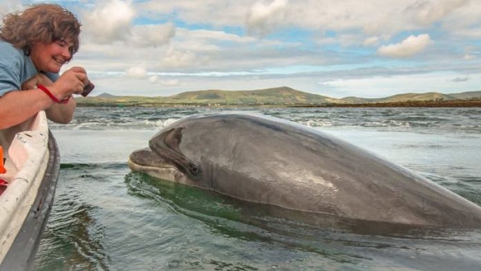 Nuala Moore and her training buddy, Fungie. Nuala is an extreme swimmer - Image Credit Nuala Moore